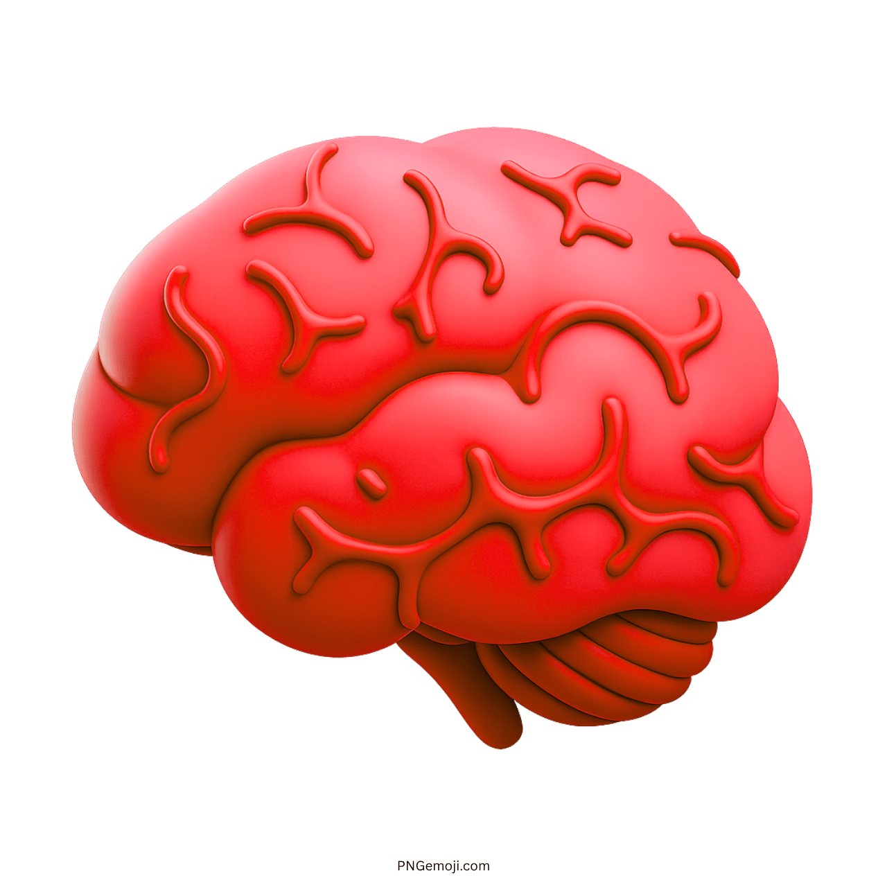 3D red brain emoji clipart with detailed folds and realistic structure