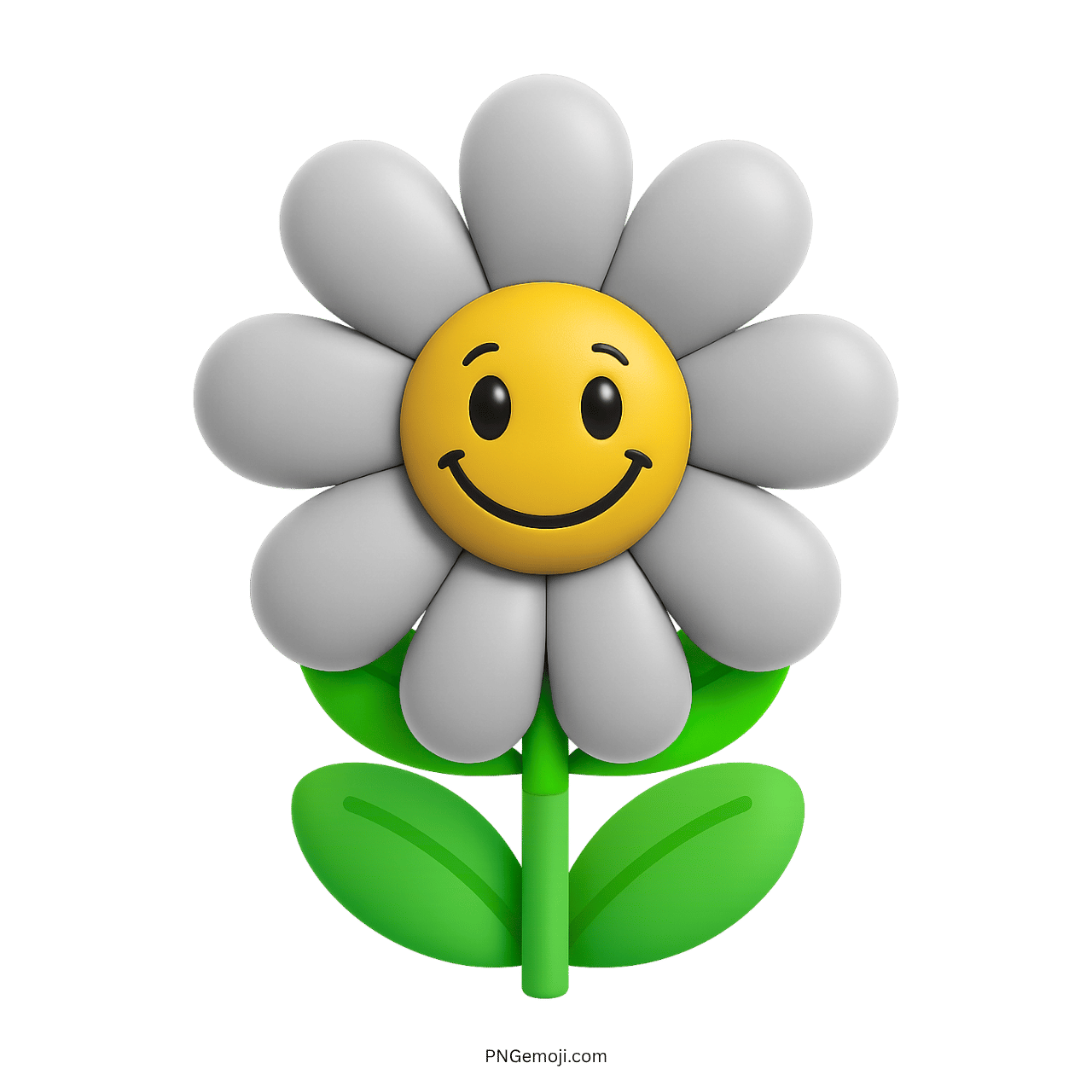 White smiling flower with yellow face and green leaves.