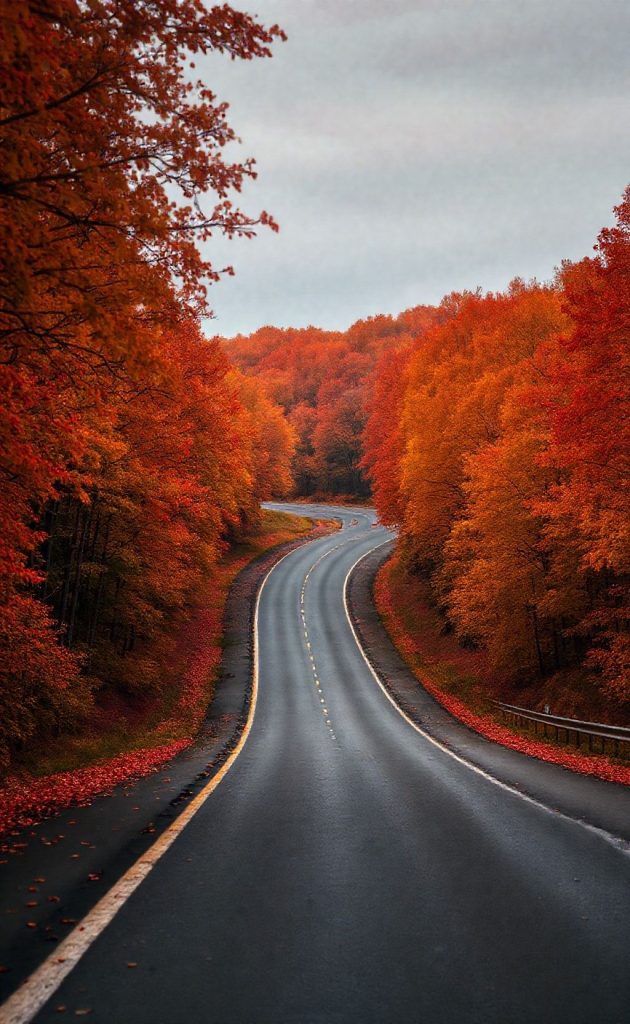 Winding road through autumn forest with vibrant red and orange fall foliage