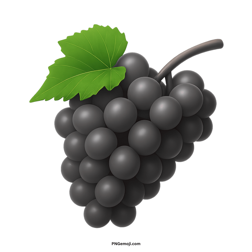 A detailed and realistic black grape emoji with a green leaf on a dark background.