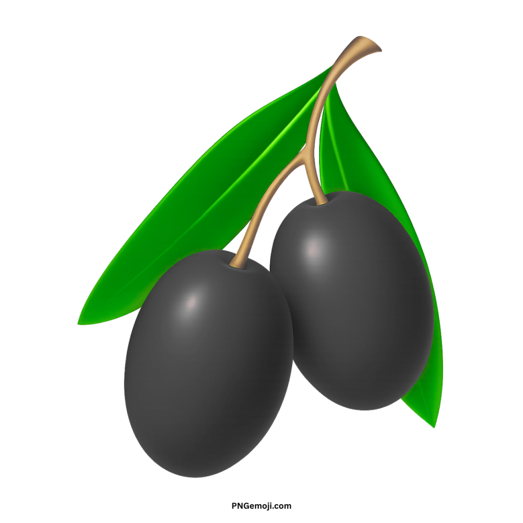 Two ripe black olives with green leaves on a delicate brown branch.
