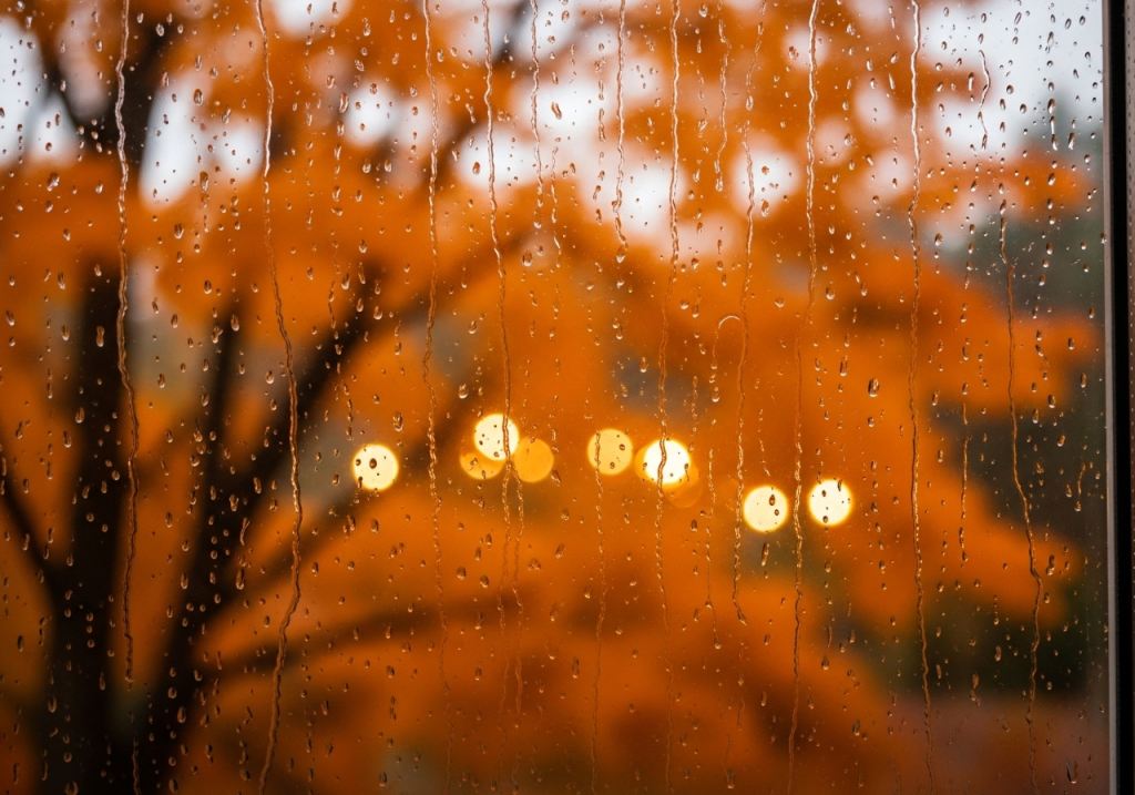 Raindrops on glass window with blurred autumn orange tree and glowing evening lights