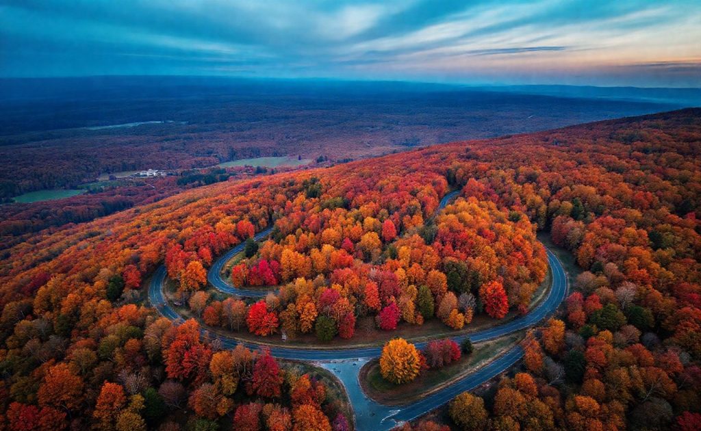 Aerial view of winding mountain road surrounded by colorful autumn forest with vibrant fall foliage